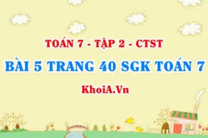 Bài 5 trang 40 SGK Toán 7 tập 2 Chân trời sáng tạo